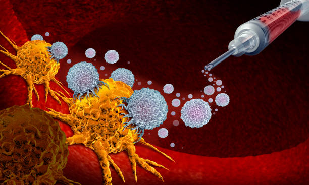 Immunotherapy Treatment in Bangalore